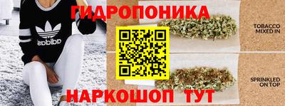 кокс Ливны