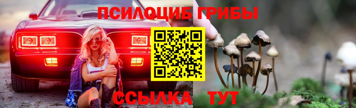 Псилоцибиновые грибы Cubensis Верхний Уфалей